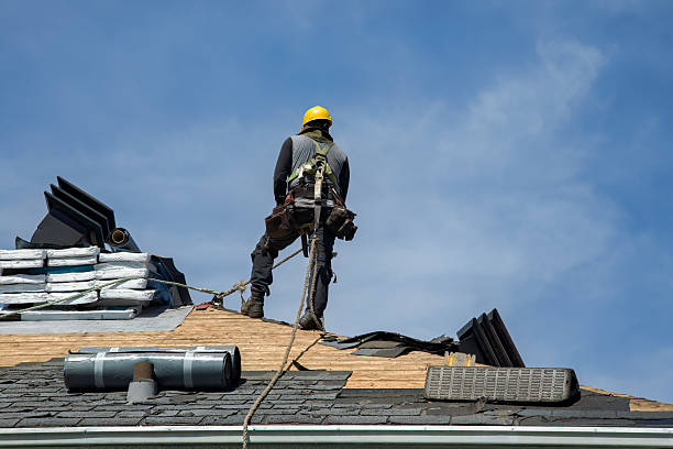 Professional Roof Replacement technician working in Porter, MN